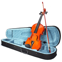 Glossy Handmade Spruce Playing Violin 4/4 With Bow Case