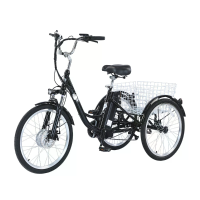 [EU DIRECT] GOGOBEST GF100 Elektrische Drietrikel 36V 18AH Batterij 350W Motor Aanbevolen topsnelheid 25KM/U 24 inch 40 