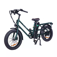GOGO BEST [EU DIRECT] GOGOBEST GF200 48V 15.6AH 500W 20 Inch Elektrische Fiets 80KM Actieradius Maximaal Laadvermogen 200KG