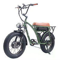 GOGO BEST [EU DIRECT] GOGOBEST GF750 17.5AH 2000W Elektrische fiets 20*4.0 Inch dikke band 80 km Bereik Max Belasting 120kg