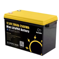 Gokwh 12V 200Ah Mini Bluetooth LiFePO4 batterij Ingebouwde Bluetooth BMS 2560Wh LiFePO4 (LFP) IP65 bescherming