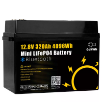 Gokwh 12V 320AH LiFePO4 Lithium Batterij 4096Wh 200A BMS 8000+ Diepe Cycles Ingebouwde Bluetooth Perfect voor RV, Marine