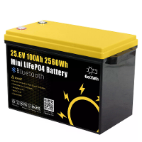 Gokwh 24V 100Ah LCD Energiebatterijbox 2560Wh Zonne  Lithium ion LiFePO4 (LFP) batterij voor RV, boot en energieopslag t
