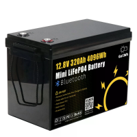 Gokwh 4096Wh 320AH+BT Energieopslagbox Auto opslagaccu LiFePO4(LFP) IP65 Ingebouwde Bluetooth BMS Mini LiFeP04 Accu