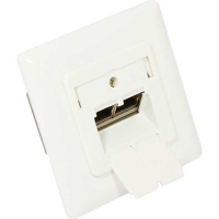 Good Connections Wandcontactdoos Cat.6A, 2x RJ 45 Inbouw, RAL1013