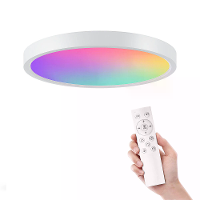 Gosund LB12 24W LED Slimme Plafondlamp 30cm Wifi Slimme Plafondlamp RGB+CW 1920LM Afstandsbediening Voice Control met Al