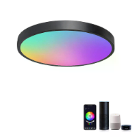 Gosund LB13 20W Slimme Plafondlamp 1600LM RGB+CW LED Plafondlamp 30cm Spraakbesturing met Alexa & Google Home