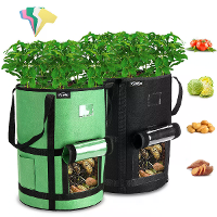 2 Stuks 10 liter Aardappel Groei Zakken Zware Niet Geweven Faric Plant Pot Container