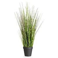 Grass Bush in pot   53 cm   Leen Bakker