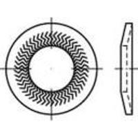 Grendelschijven 10 mm 16.1 Mm Verenstaal Verzinkt 250 stuk(s) Alstertaler Schrauben & Präzisionsteile 159415