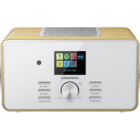 Internetradio DTR 6000 2.1 DAB+ BT WEB