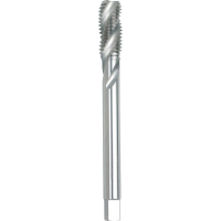 GSR B00311250 Machinetapboor Metrisch M12 Rechtssnijdend DIN 376 HSS G Model C 1 stuk(s)