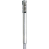 GSR B02004250 Machinetapboor Metrisch M12 DIN 376 HSS E 1 stuk(s)