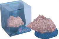 H2show Atlantis Deco Schelp #95;_