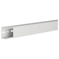 Hager HNG3705007035B Kabelgoot (l x b x h) 2 m x 50 mm x 37 mm 2 m Grijs