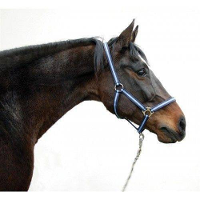 Halster Hippo Bruin Beige #95;_Hippo Bruin Beige Pony
