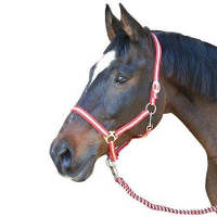 Halster Hippo Rood Beige #95;_Hippo Rood Beige Cob