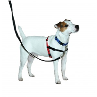 Halti Harness Voor De Hond Large