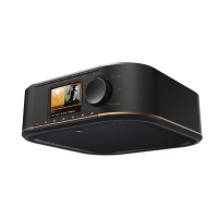 Hama IR350 Internet Onderbouwradio AUX, WiFi Geschikt voor DLNA, Spotify, Multiroom ondersteuning Zwart