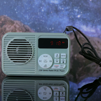 HanRongDa HRD 231 DSP Stereo Radio Muziekspeler FM Bluetooth TF Kaart Afspelen 50 Zendergeheugen 2000mAh Oplaadbare Batt
