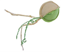 Happy Pet Nature First Bal Met Catnip #95;_18x5x5 Cm