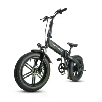 [EU DIRECT] Blij rennen HR2006 Elektrische Fiets 350W Motor 36V 10Ah Batterij 20x4inch Vetbanden 25KM/H Topsnelheid 50KM