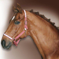 Harde Borstel Flower Power #95;_Hoofdborstel Flower 17cm