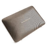 Harman Kardon Hk Esquire 2 Gold