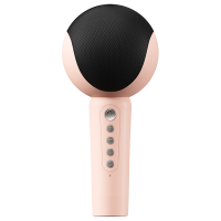 Havit Draadloze Microfoon Luidspreker Vier soorten Stem HIFI Stereo Karaoke Mic Tf kaart Zangspeler
