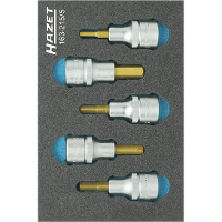 Hazet Dopsleutelbitset 163 215/5