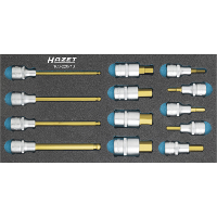 Hazet Dopsleutelbitset 163 220/13
