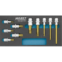 Hazet Dopsleutelbitset 163 221/10