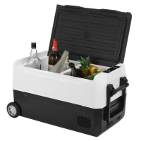 Hcalory 35/45/55L Draagbare Autokoelkasten Mini Koelkast Elektrische Compressor Koeler voor Auto Thuis 12/24V DC 110/240