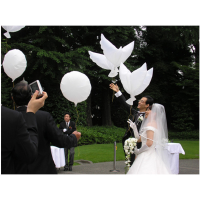 Helium Pigeon Wedding Decoration Eco Flying White Dove Balloon
