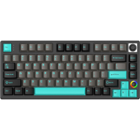 Hello Ganss HS75T Obs Gat Wh RGB WL US