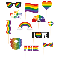 Foto prop set regenboog/rainbow/pride vlag op stokjes 12 delig