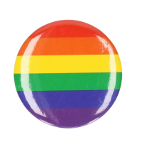 Pride button   D4 cm   regenboog kleuren   broche/pin   regenboog vlag   LGBTQ