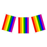 Henbrandt Regenboog Pride thema vlaggenlijn   7 meter   vlaggen van 25 x 20 cm   kunststof