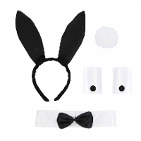 Sexy bunny verkleed set   staart/strikje/oren/manchetten   wit/zwart   dames   5 delig