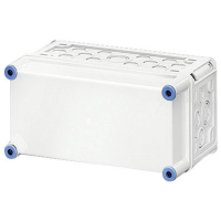 Hensel Mi 0101 Schakelkast (leeg) 150 x 300 x 170 PC Grijs wit (RAL 7035) 1 stuk(s)