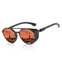 Heren Gepolariseerde Zonnebril Modes Ronde Autorijden Zonnebril voor Unisex Klassieke Mannelijke Oogwear Reizen Wandelen