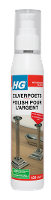 HG Zilverpoets