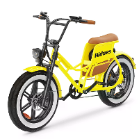 [EU Direct] Hi C8 Elektrische Fiets 48V 17AH Batterij 700W Motor 20 inch Off road Luchtbanden 45 55KM Max Bereik 150KG M