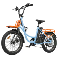 [EU Direct] Hi HD C6 Elektrische Fiets 36V 13AH Batterij 250W Motor Aanbevolen Topsnelheid 25KM/U 20 inch Banden 25 35KM