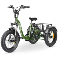 [EU DIRECT] Hi HD ET1 Elektrische Driewieler Cargo 48V 20AH Batterij 750W Motor 20 inches Banden 40 65KM Maximaal Bereik