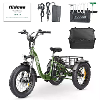 [EU DIRECT] Hi HD ET1 Elektrische driewieler vrachtwagen 48V 20AH batterij 750W motor aanbevolen topsnelheid 25KM/H 20 i