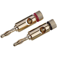 High End Luidsprekerconnector Stekker, recht Aantal polen: 1 Goud 2 stuk(s)