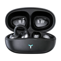 HM20 AI vertaling headset Draadloze Bluetooth 5.3 Oordopje 16 mm grote titanium geplaatste driver CVC ruisonderdrenging