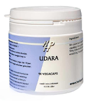 Holisan Udara Capsules