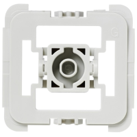 Adapter Gira 55, 20er Set